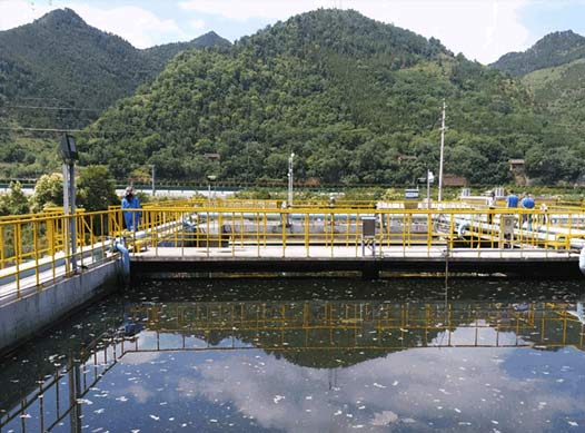 �ɹ�����